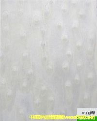 �Ƽ�ľƤ��Ԕ����B