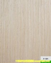 �Ƽ�ľƤ��Ԕ����B