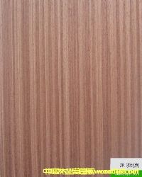 �Ƽ�ľƤ��Ԕ����B