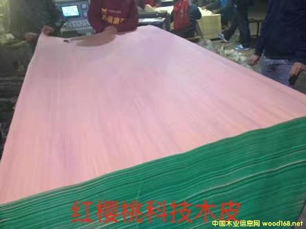  ��Ԕ��(x��)��B