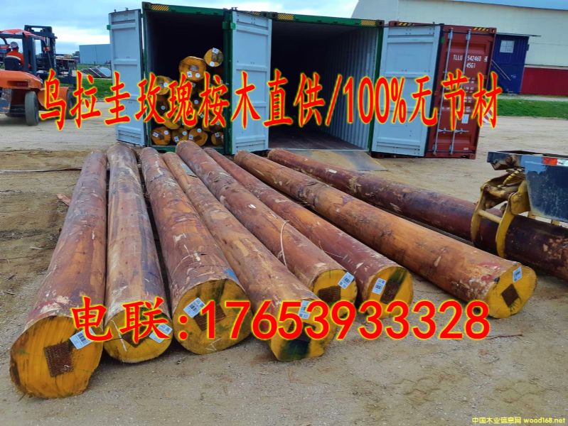 �M(j��n)��õ����ľԭľ/100%�o��(ji��)�ĵ�Ԕ��(x��)��B