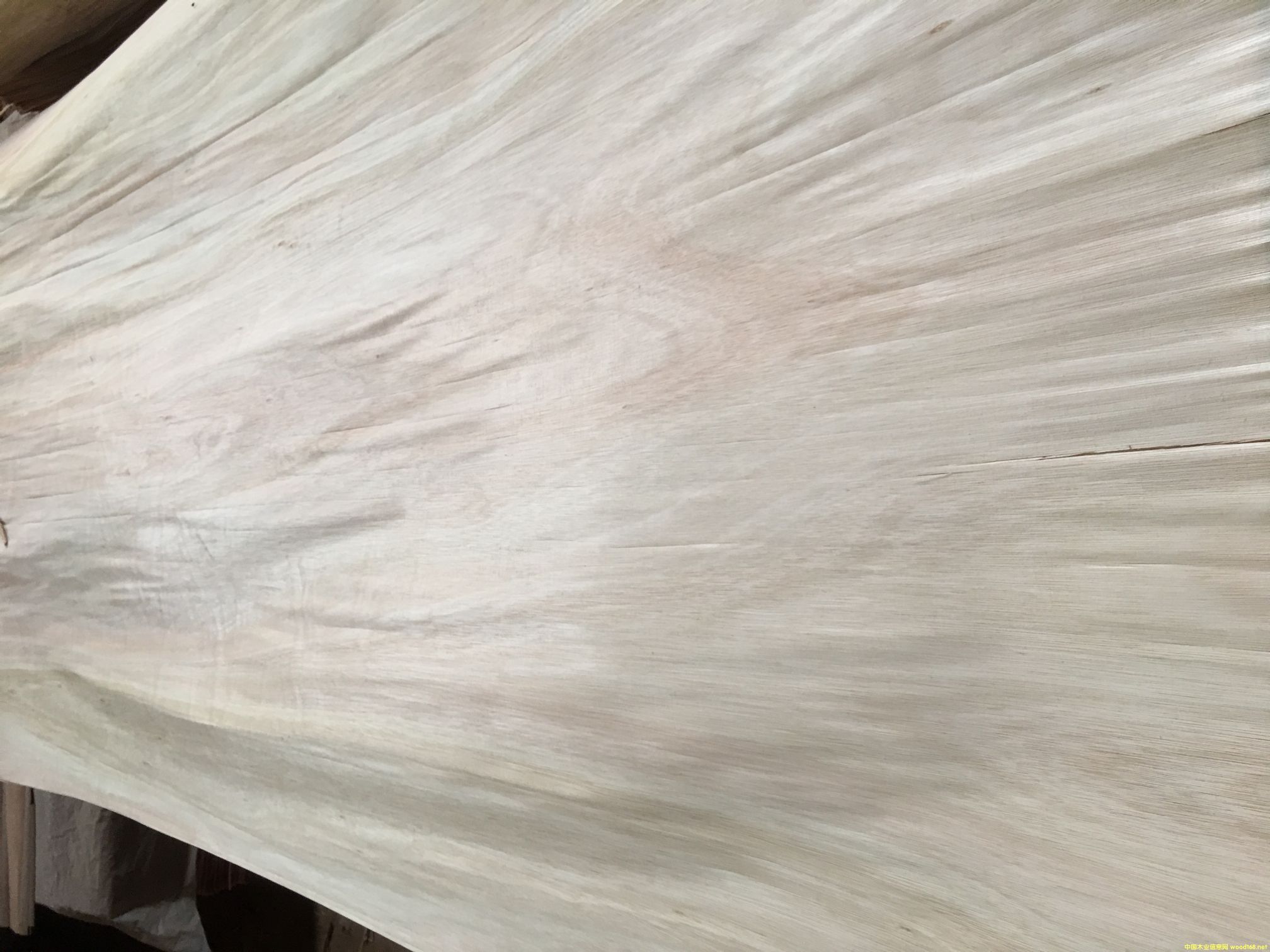 ��������ľ���a(ch��n)��Ƥ�������ʸ�