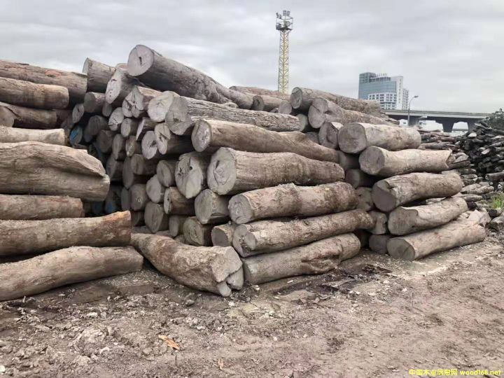 Ƥ�ң��L(f��ng)܇ľ��