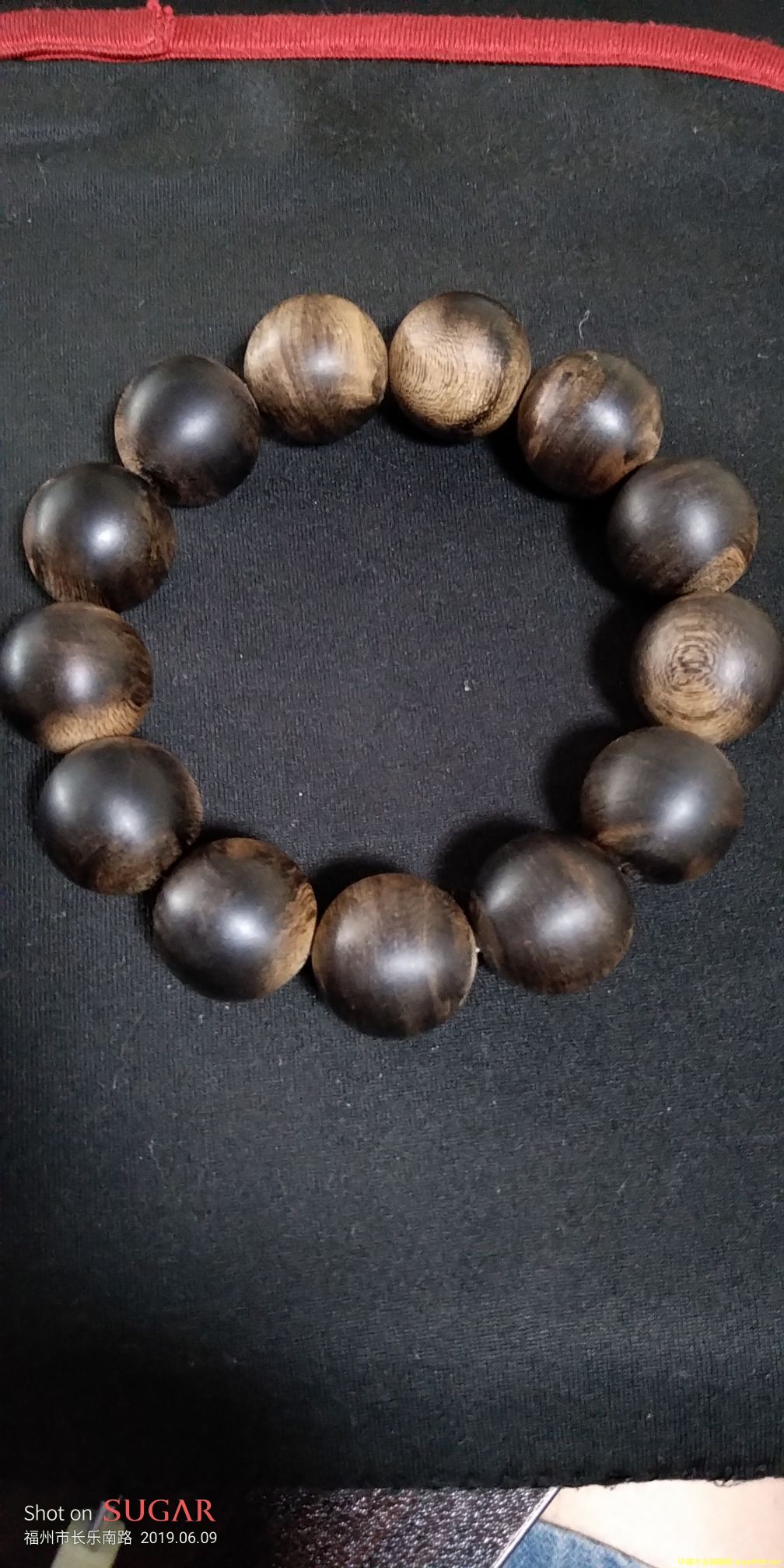 ���������Ԕ��(x��)��B