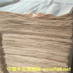 ��ľƤ�ӵ�Ԕ��(x��)��B