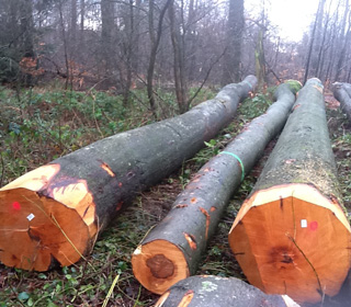 �����r(sh��)�ؼ�(j��)ɽë��ԭľ