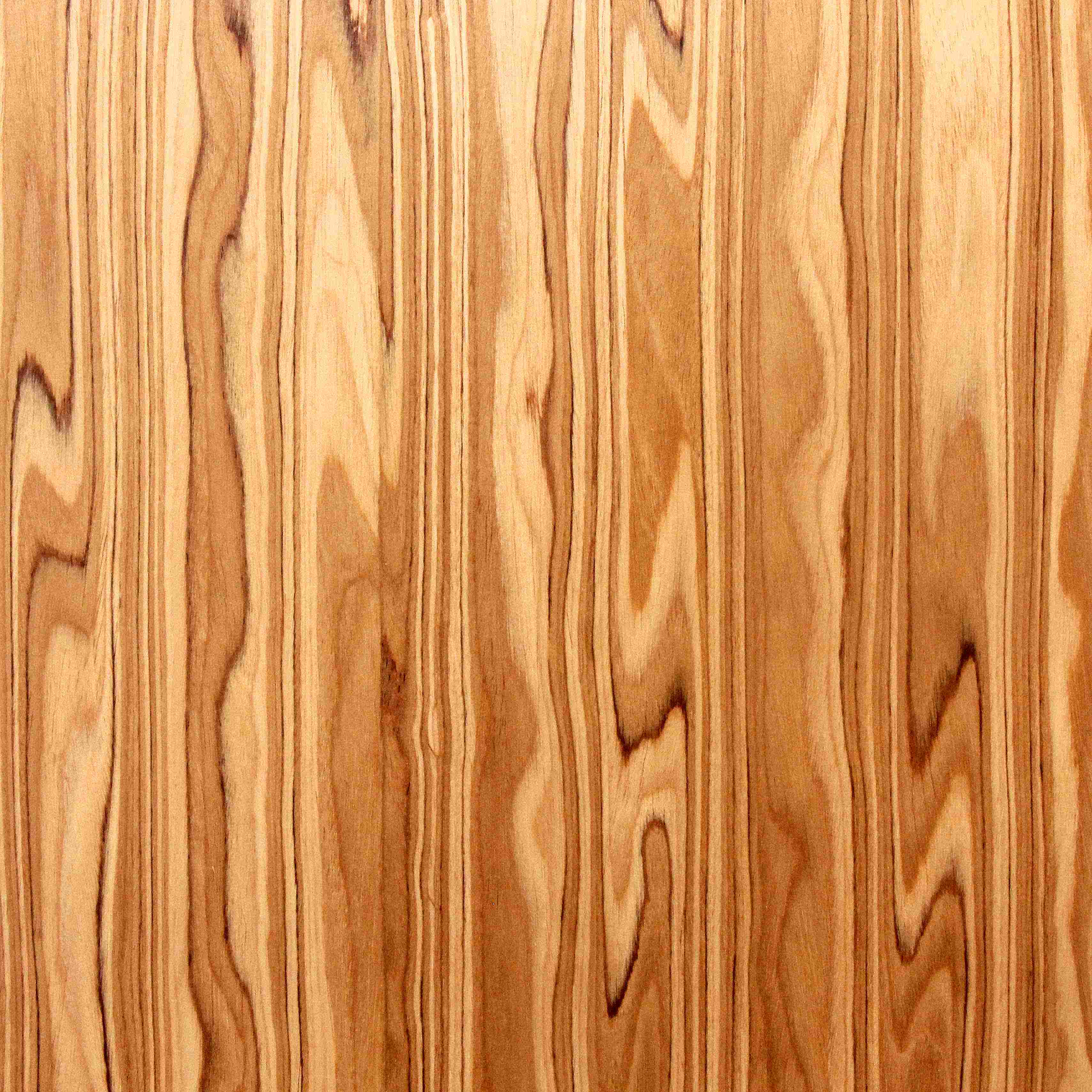 �ұ���A����ȼľ���