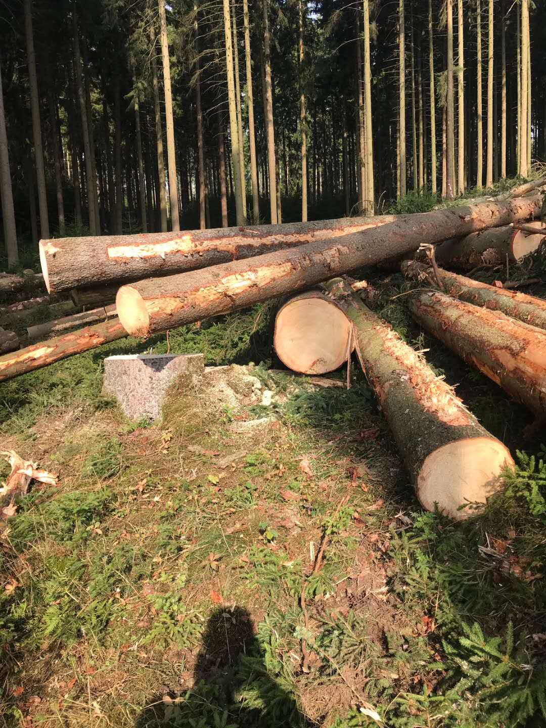 [��] ��(gu��)��ɼԭľ��؛