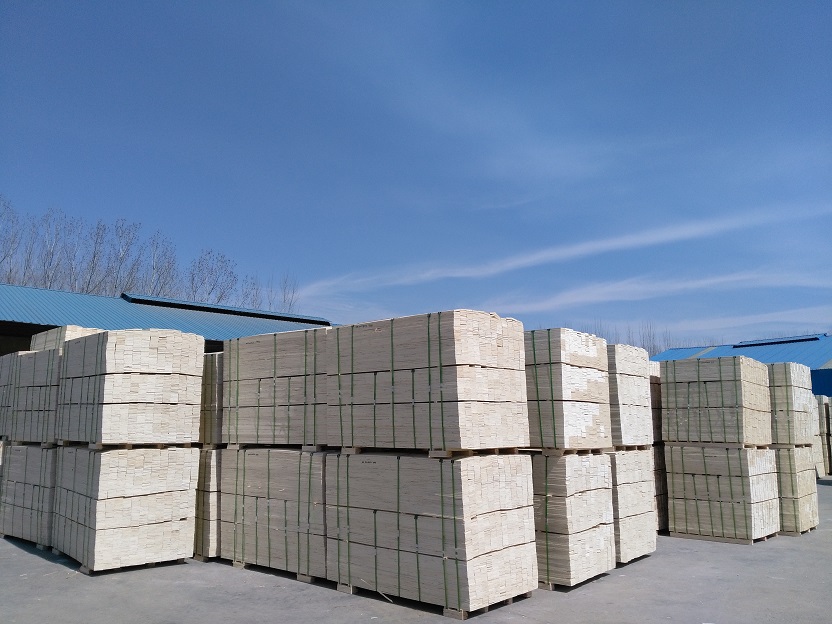 ��Ѭ��ľ����Ԕ��(x��)��B