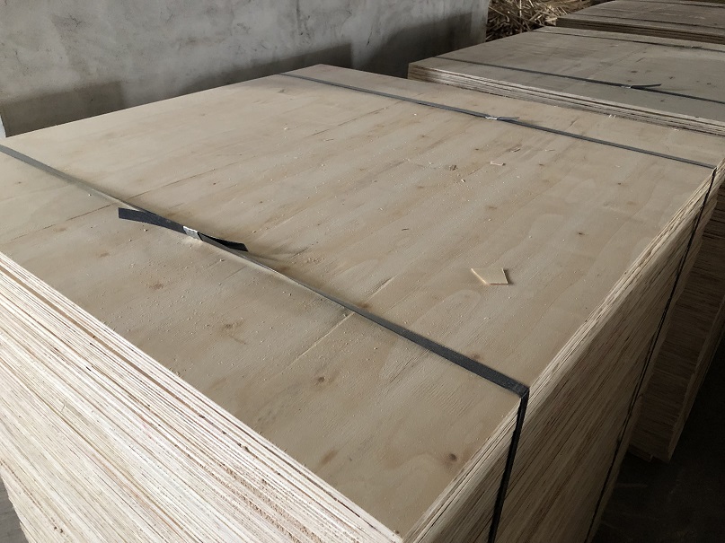 ���^��߅��Ԕ��(x��)��B