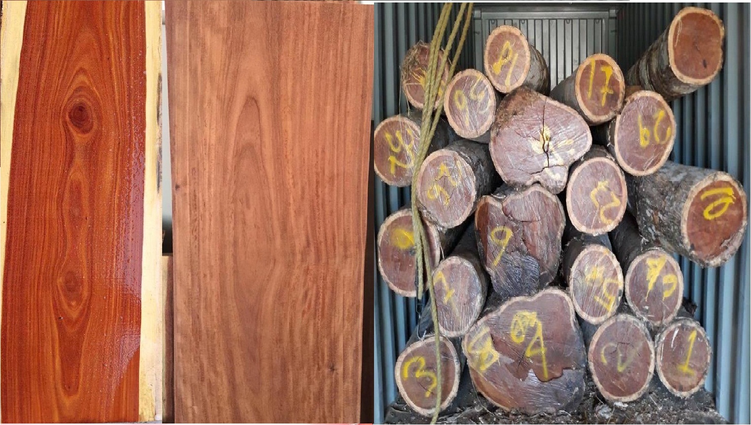 �t̴��(balsamo)��Ԕ��(x��)��B