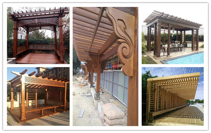 ����ľ����