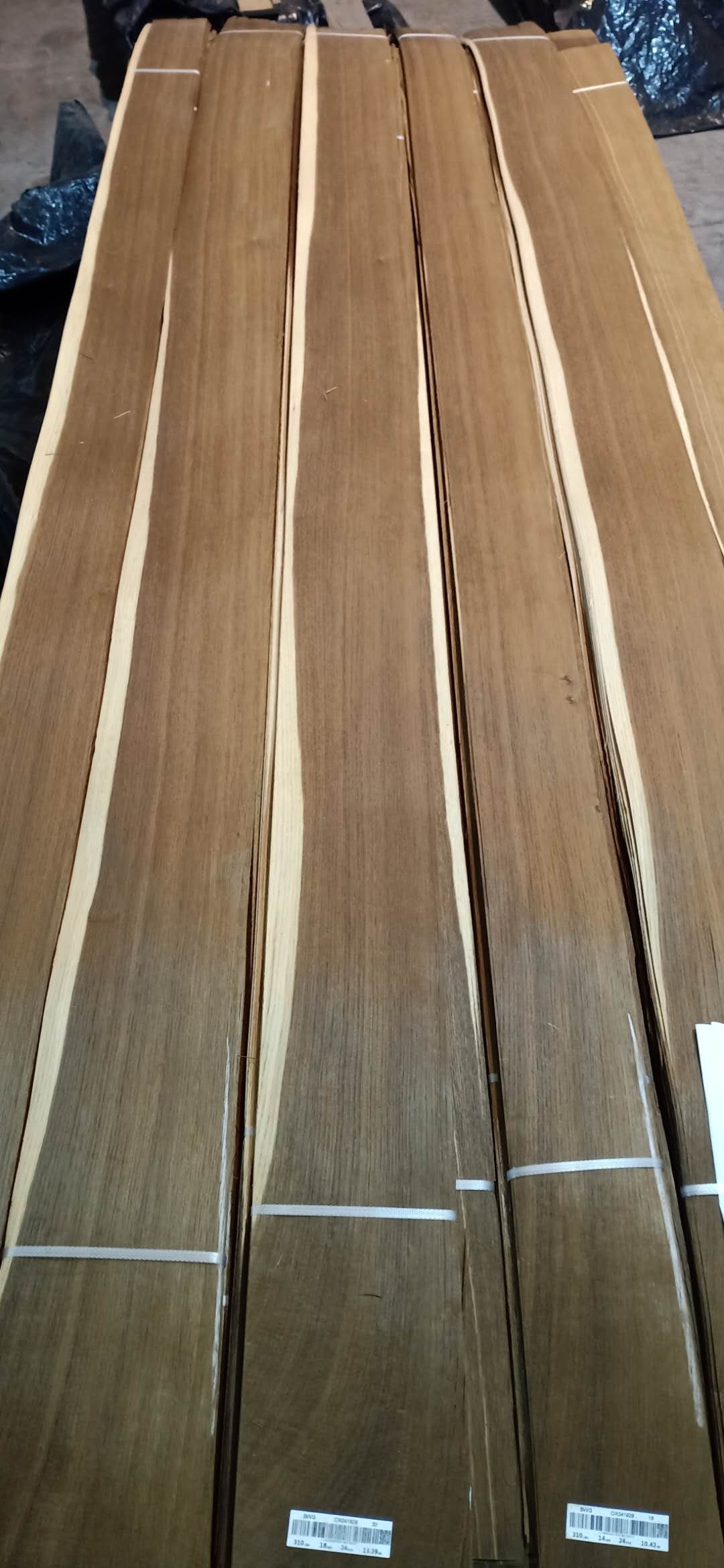 ��Ѭ��ľ��Ԕ����B