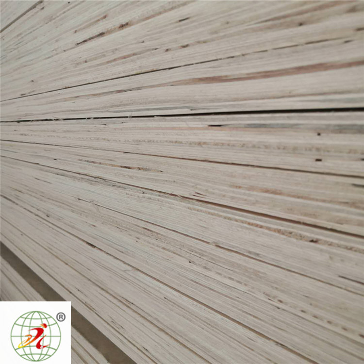 ľ���b���Ԕ��(x��)��B