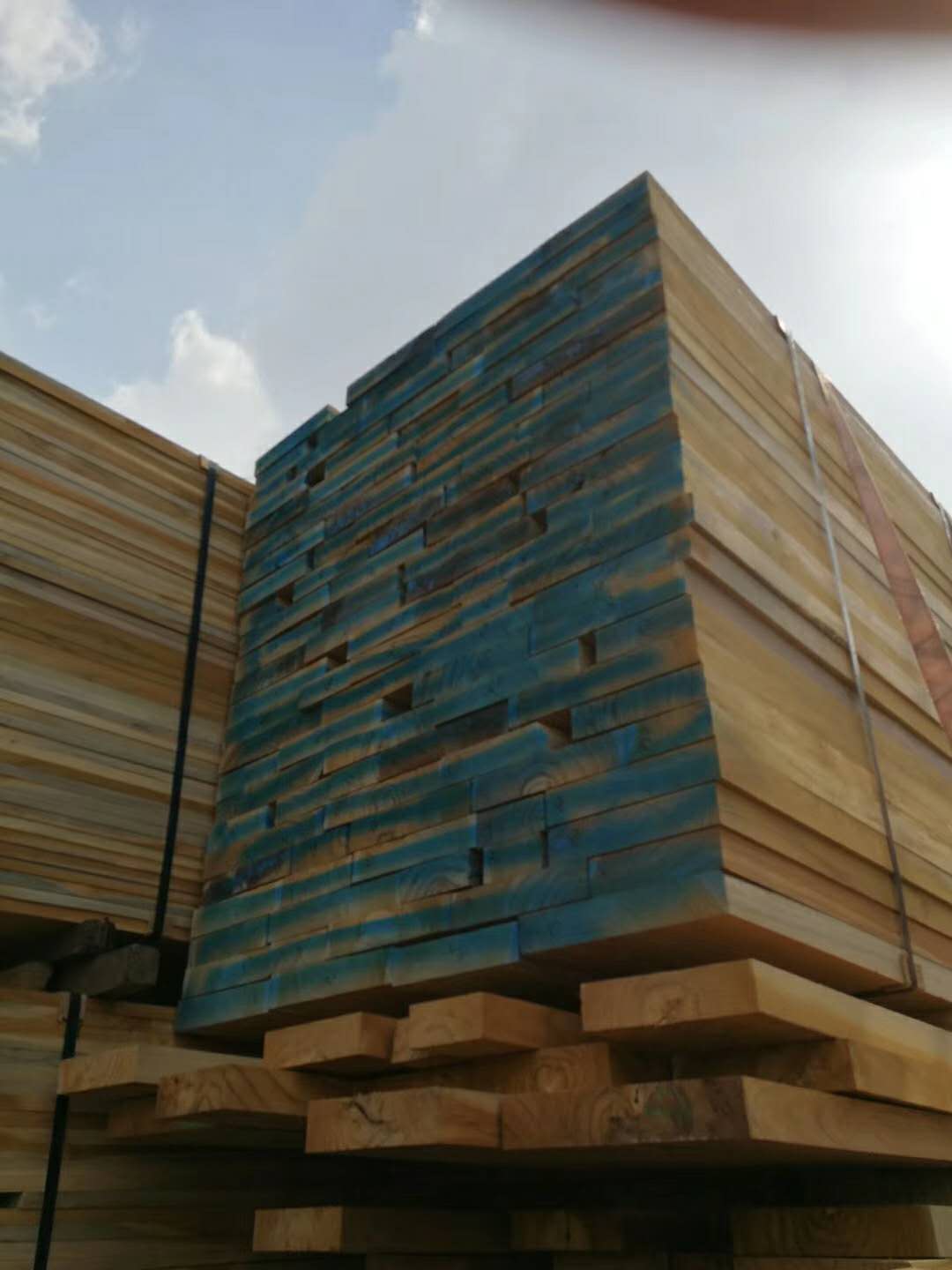 �c���鿴������ľС��ľ��ķŴ�DƬ