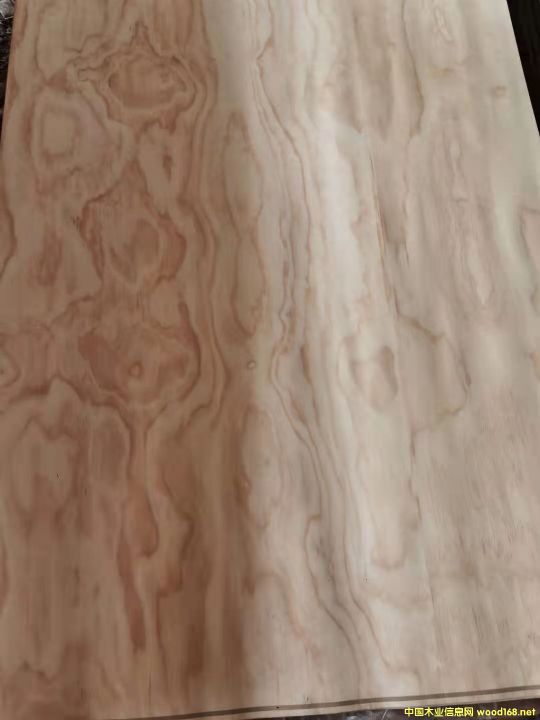  ݗ���ɵ�Ԕ����B