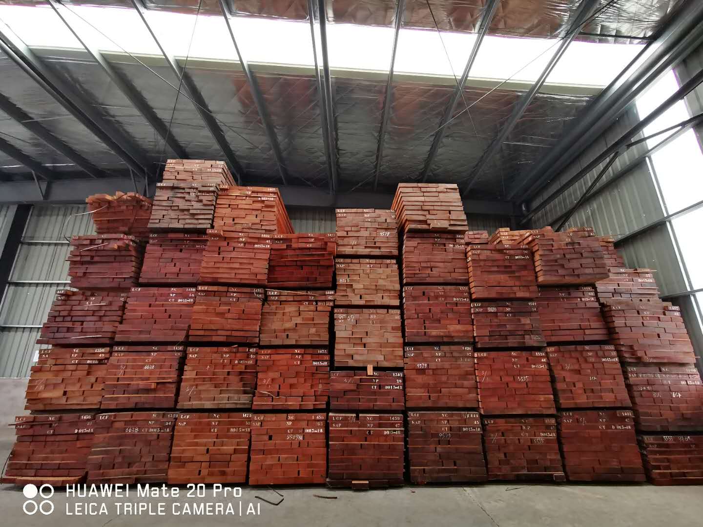 ɳ����7����