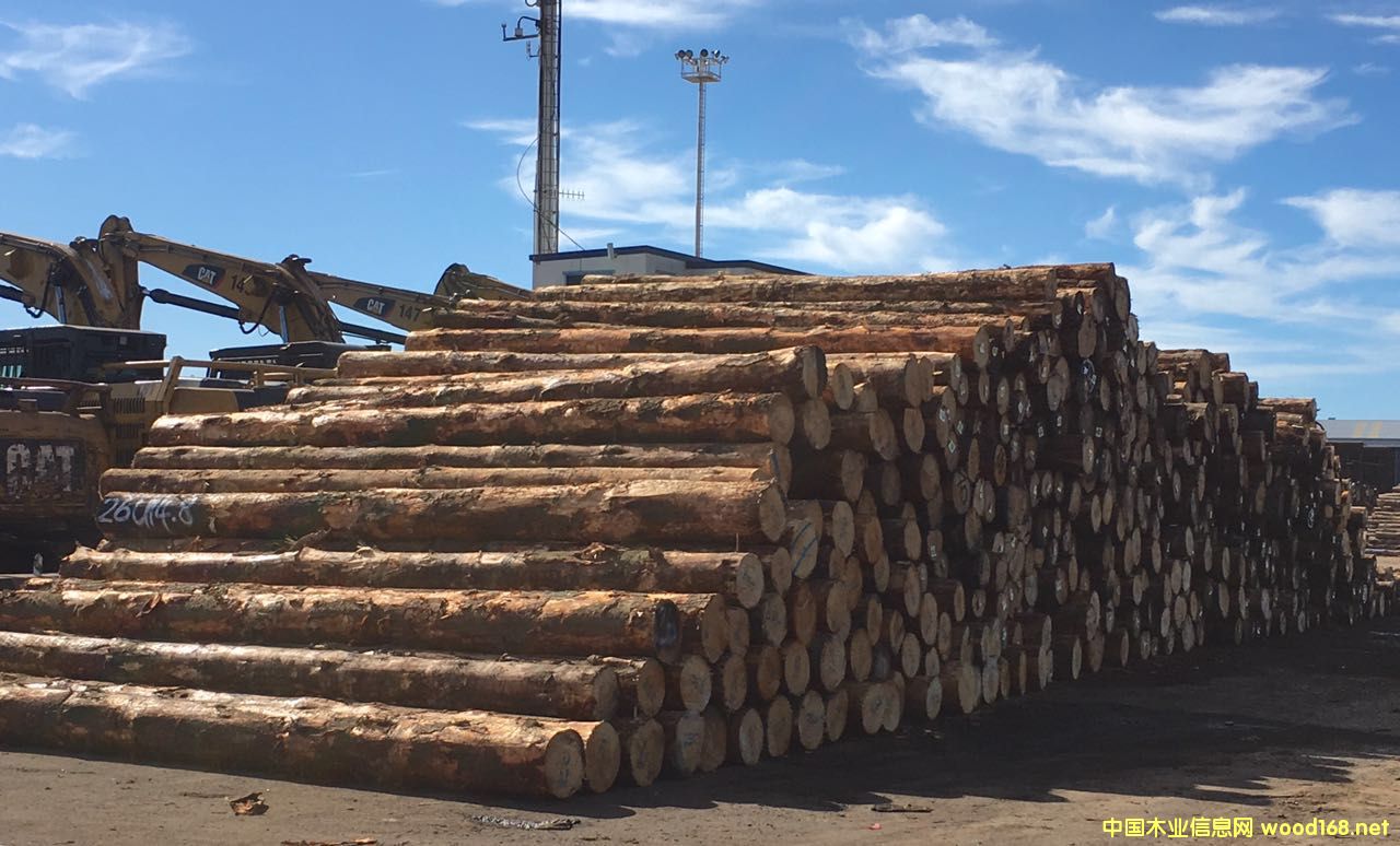 [��] �����mݗ����ԭľ