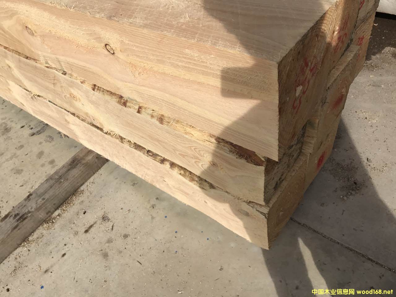 �����mݗ���ɹ��I(y��)��ľ��