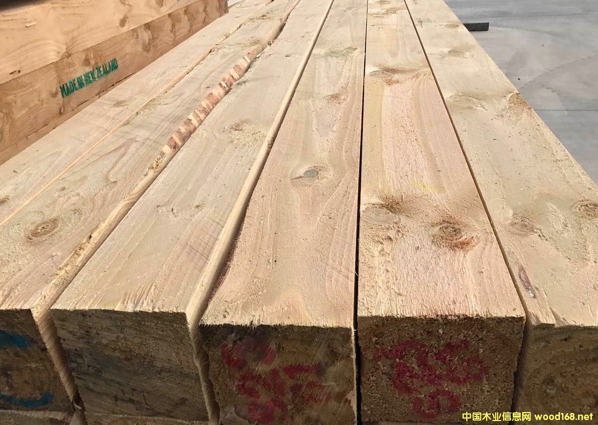 [��] �����mݗ���ɴ�ߴ�ľ��