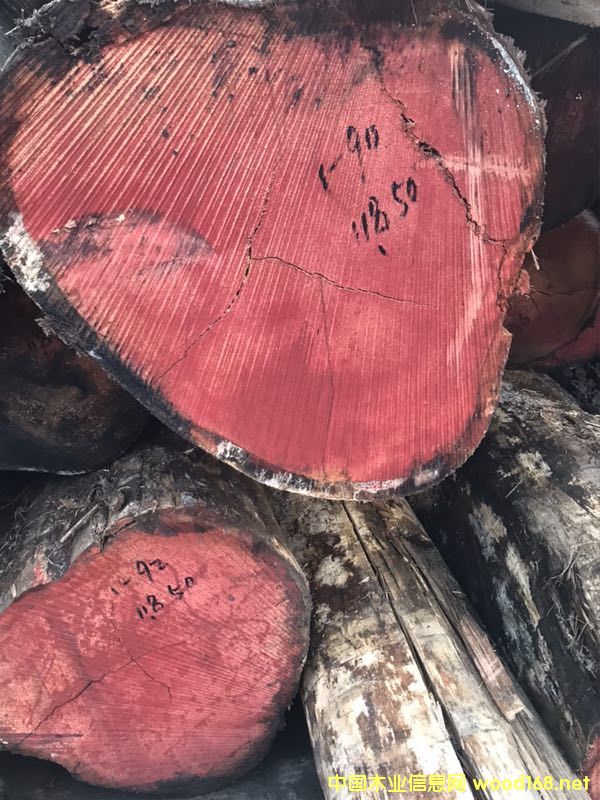 ��ľ��Ԕ��(x��)��B