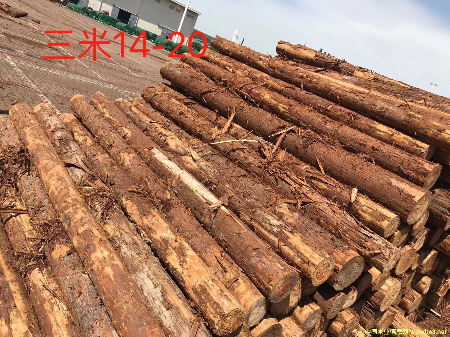 ��ɼ��Ԕ��(x��)��B