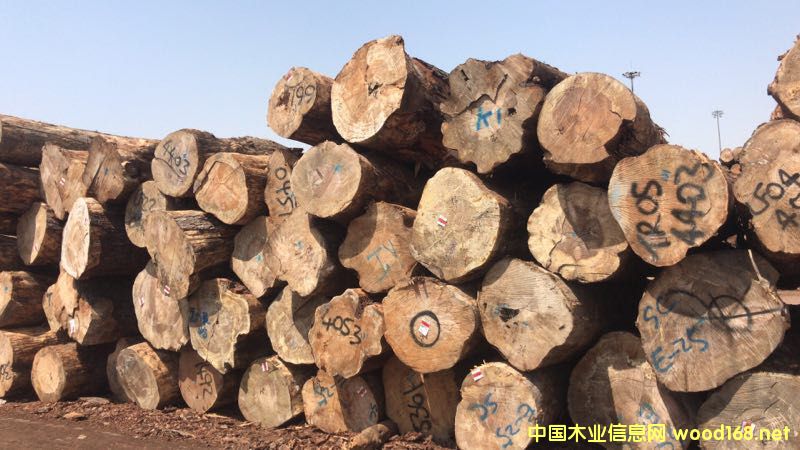 ݗ���ɵ�Ԕ��(x��)��B