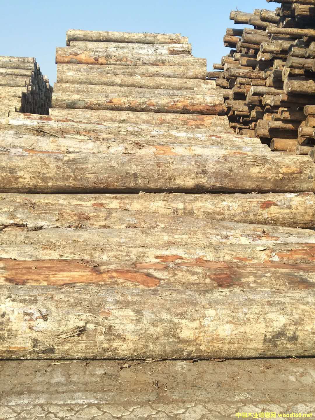 [��] ݗ����