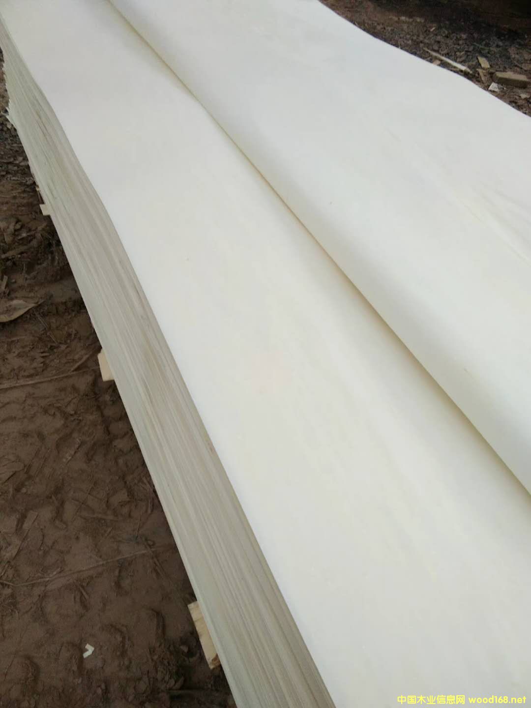 漂白的詳細(xì)介紹