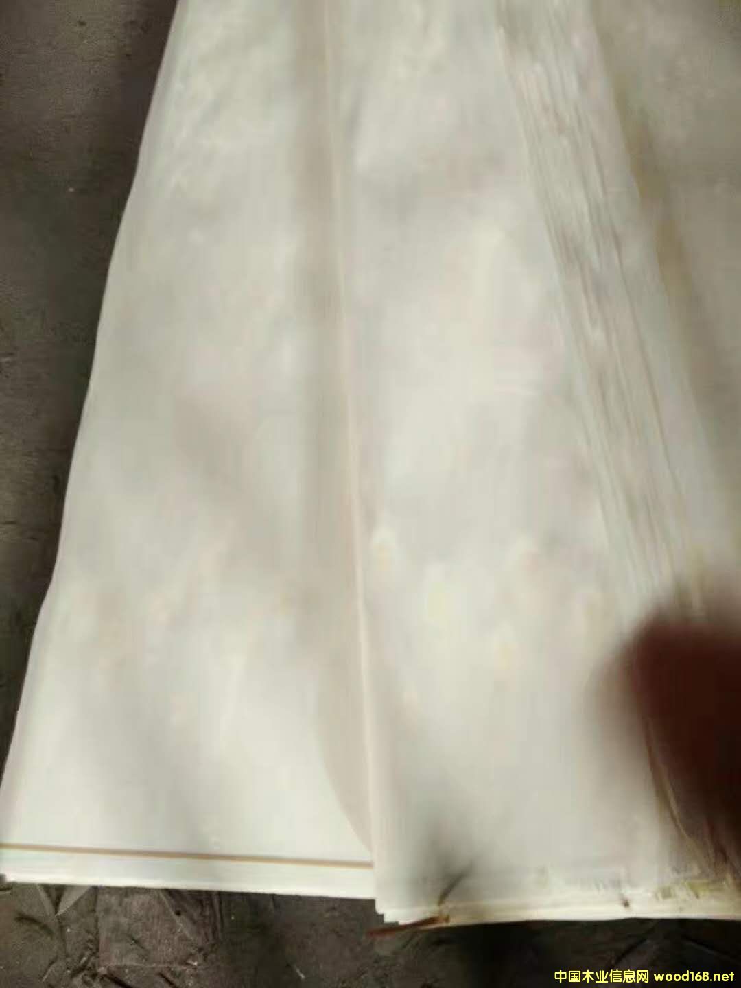 ��ľƯ�׵�Ԕ��(x��)��B