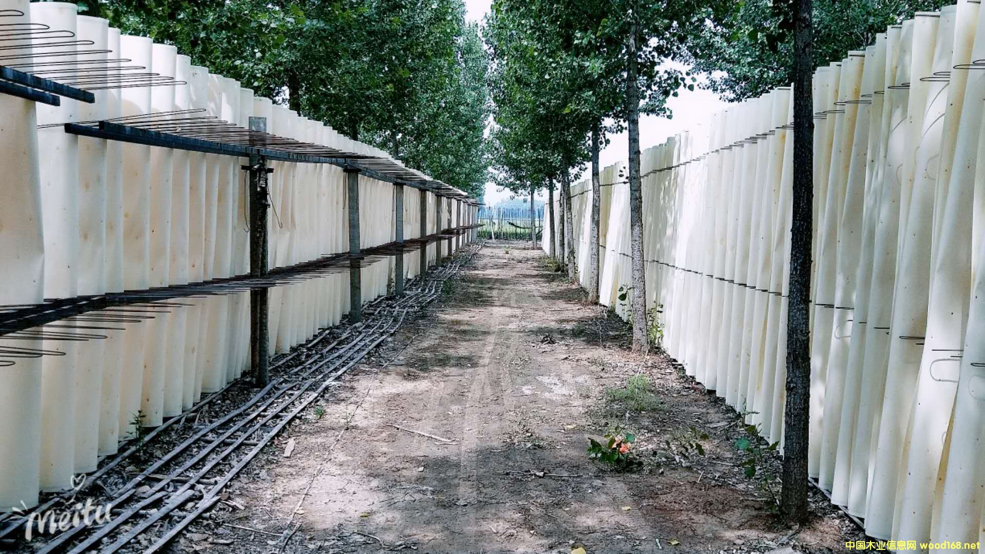 �������Ԕ��(x��)��B