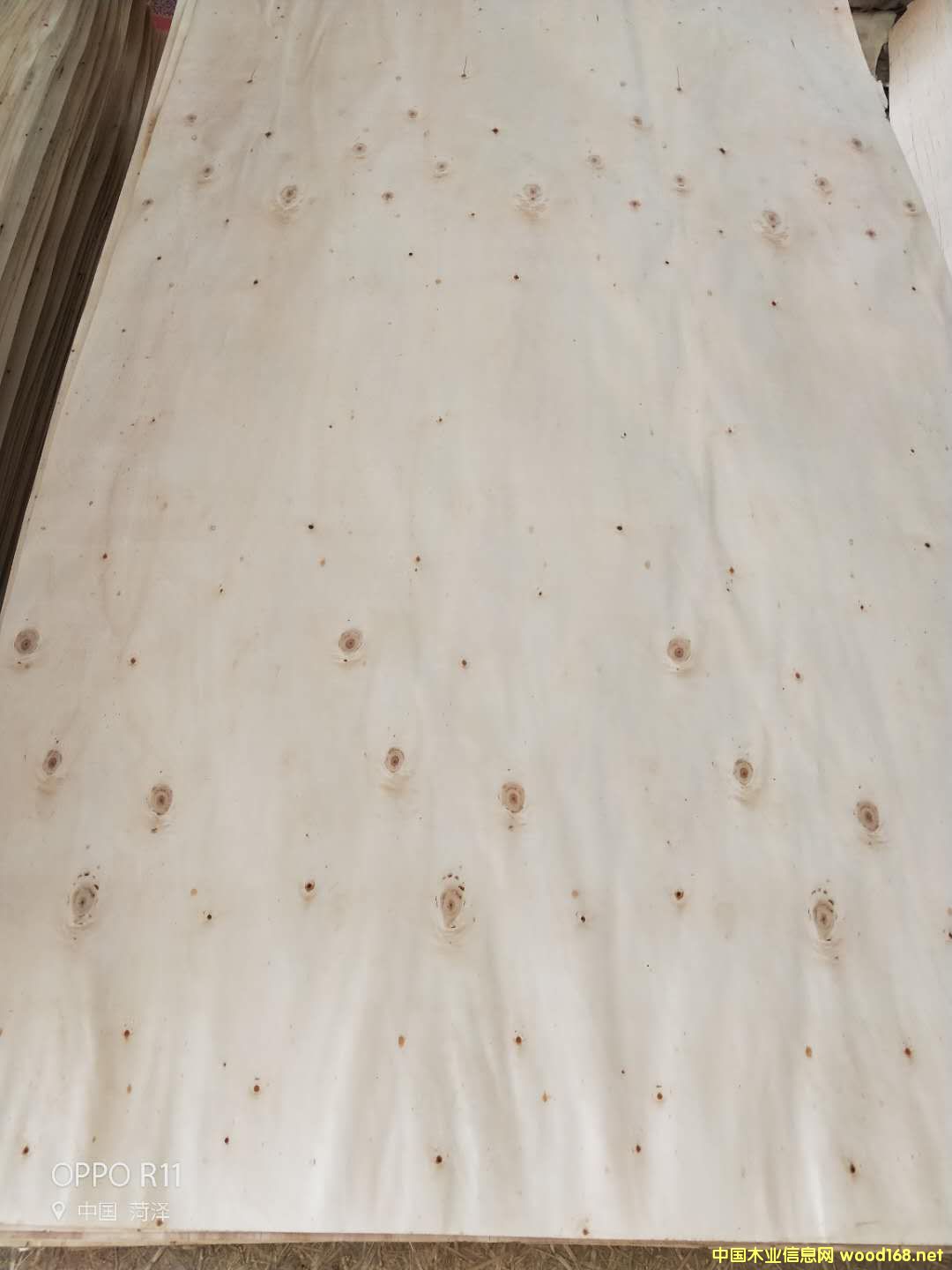 的詳細(xì)介紹