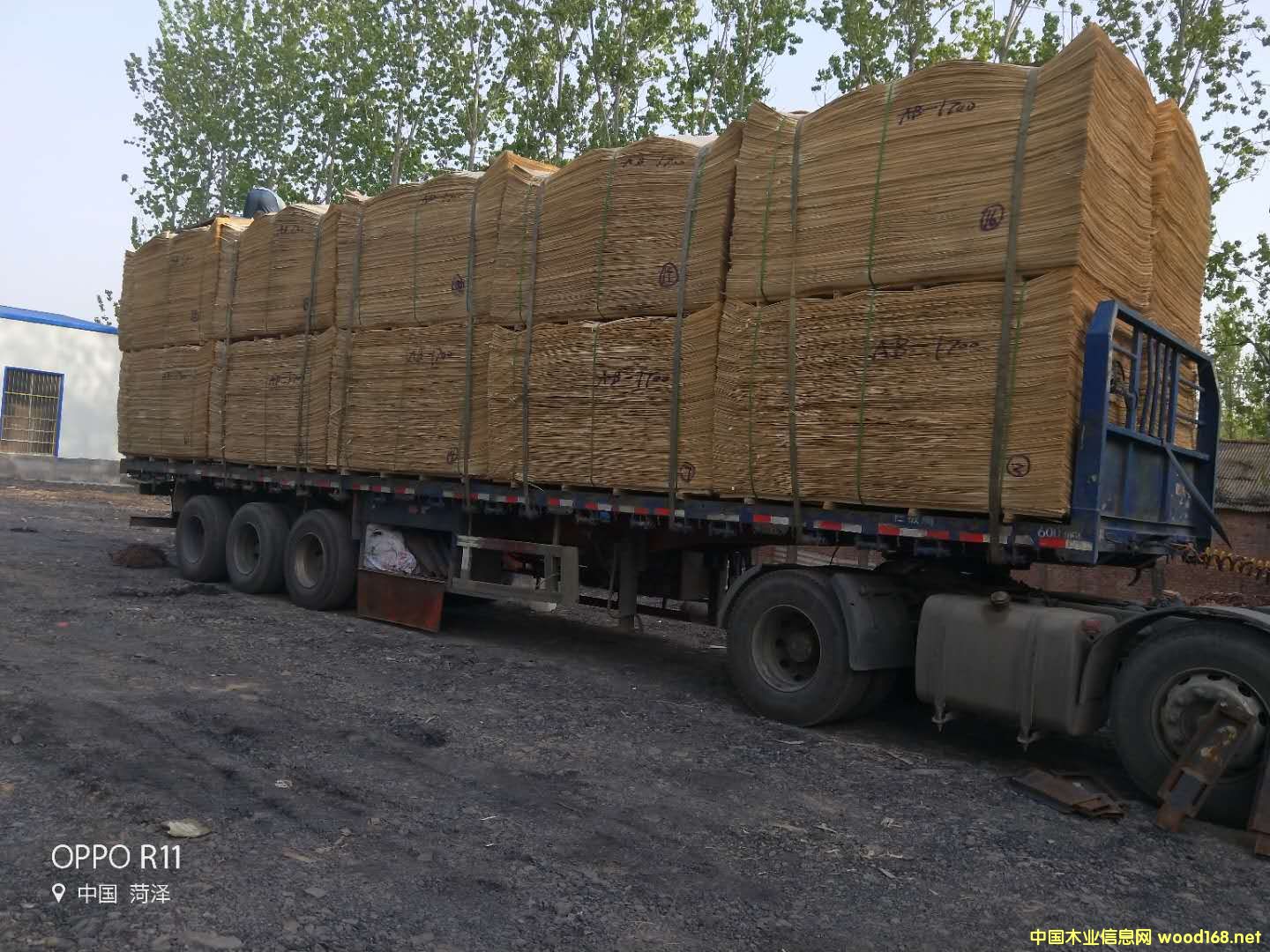 的詳細(xì)介紹