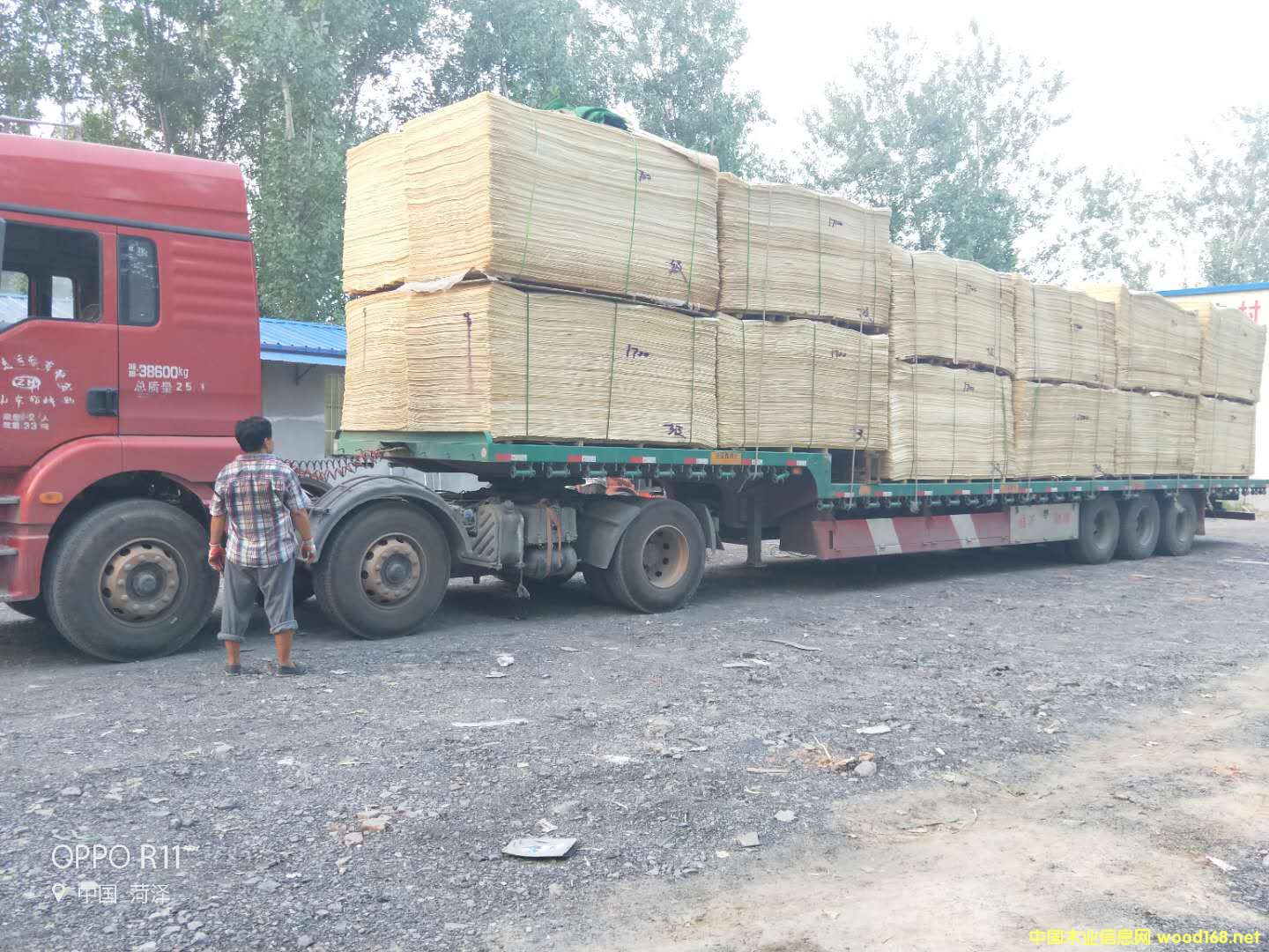 的詳細(xì)介紹