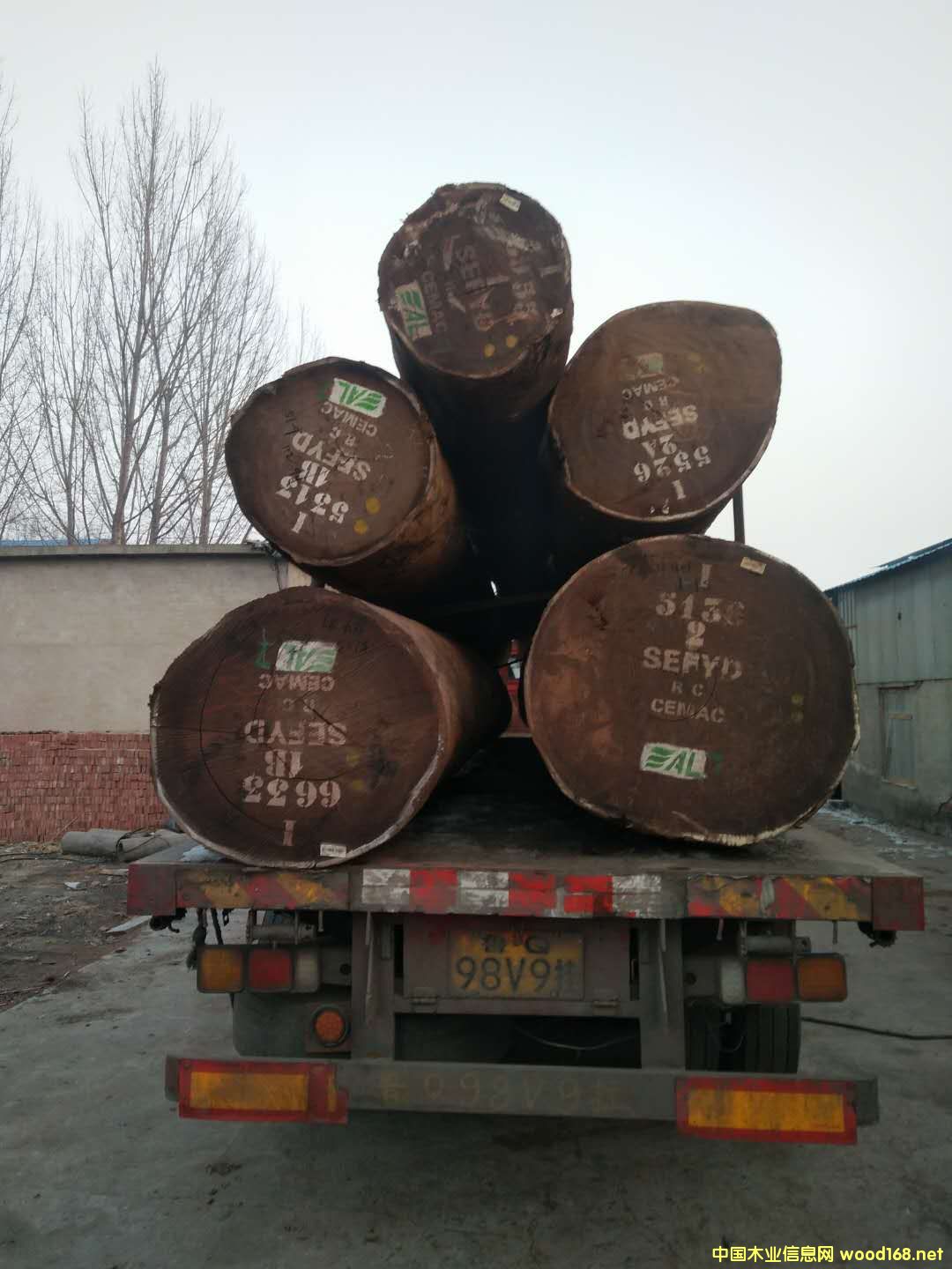 ɳ����������