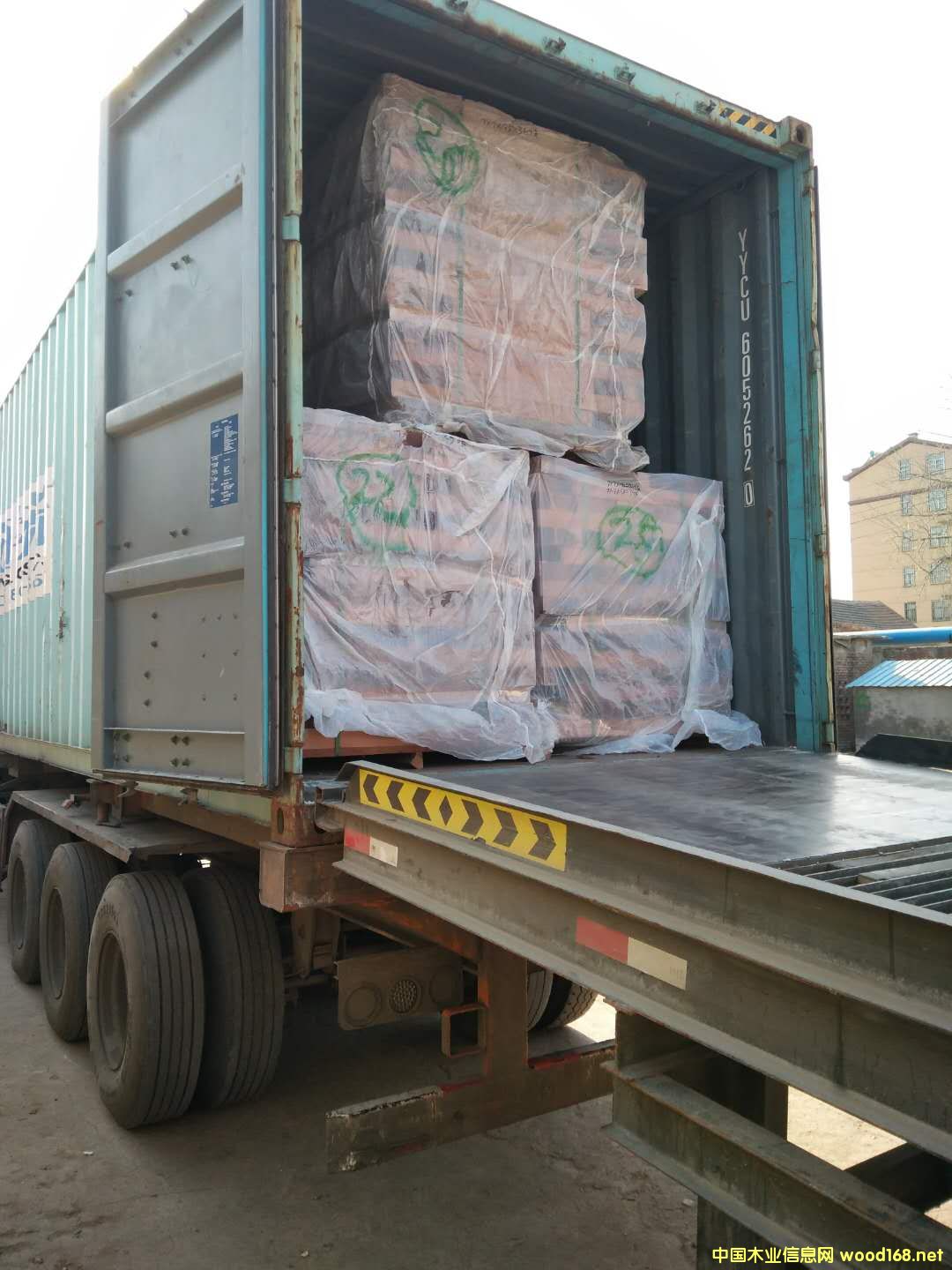 ɳ���������� 