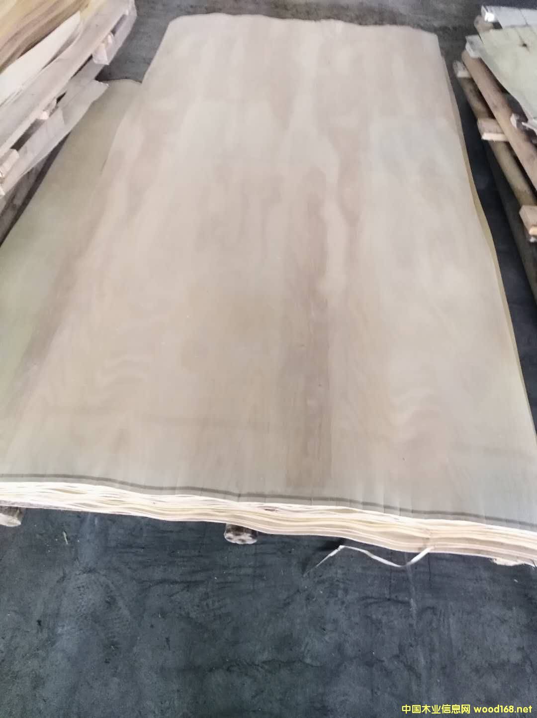 ��ľ�ΰ��Ԕ����B