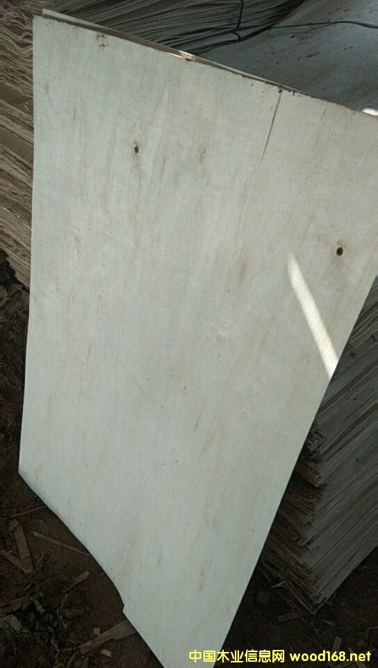  ���Kʡ�������S�h�Z��ľ�I(y��)���L�ڹ���(y��ng)��ľƤ��