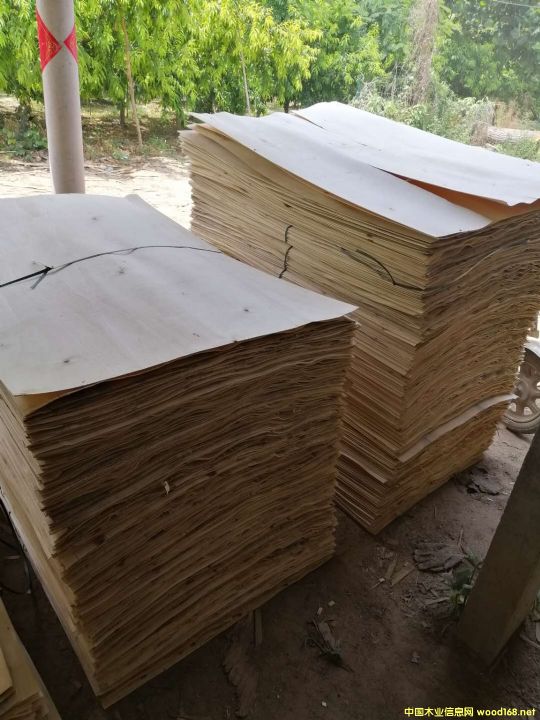 豐縣鑫匯豐楊木皮 豐縣鑫匯豐楊木皮