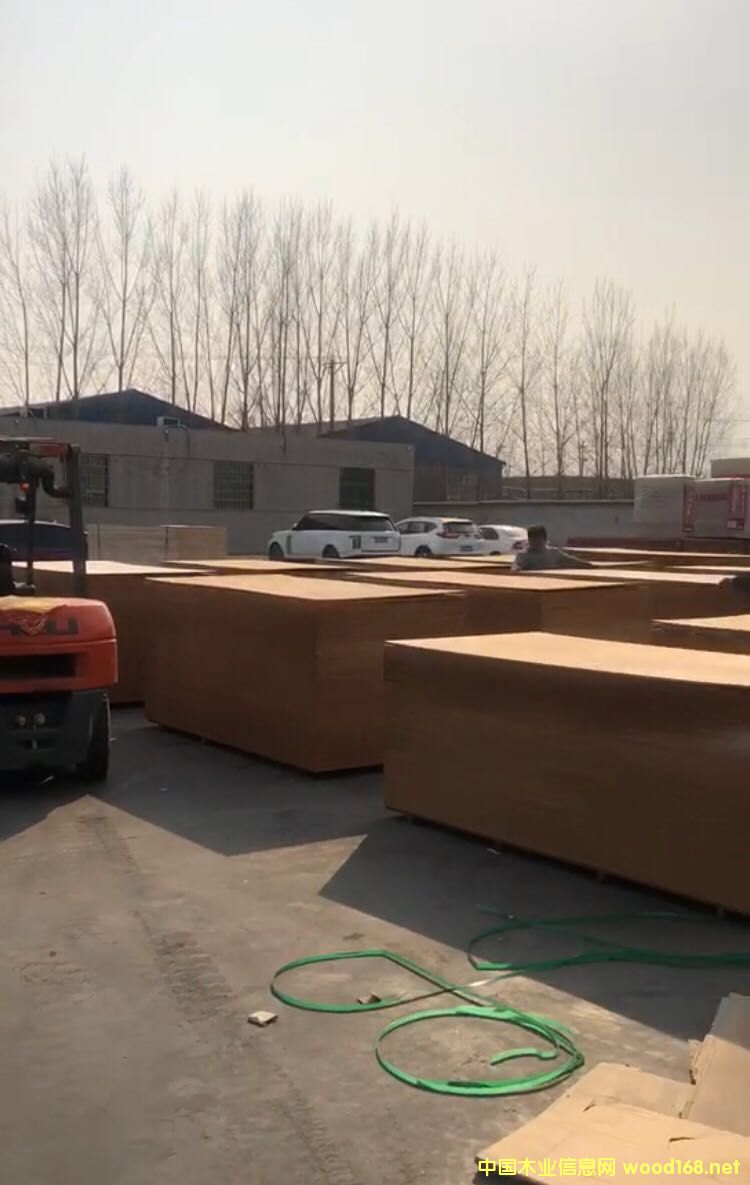 ʢ����ĵ�Ԕ��(x��)��B