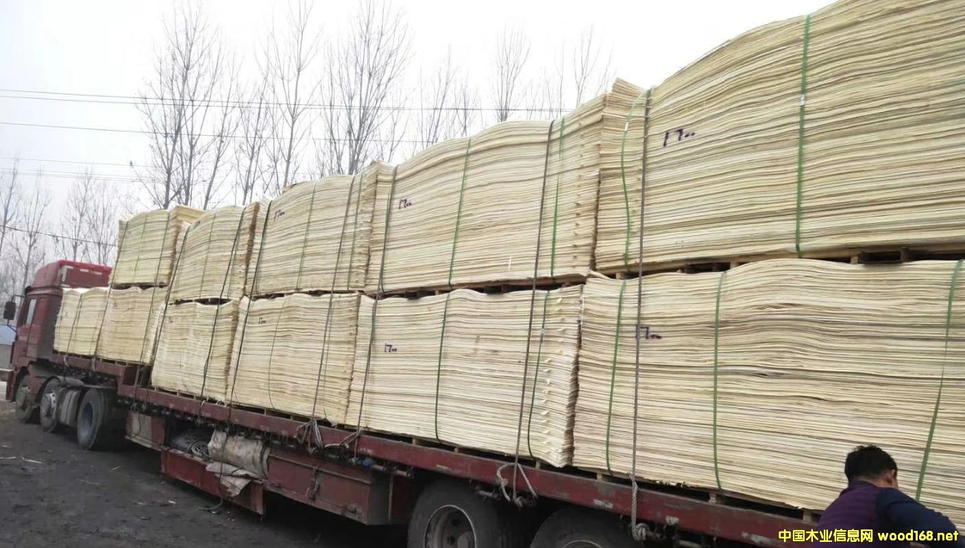 漂白皮的詳細(xì)介紹