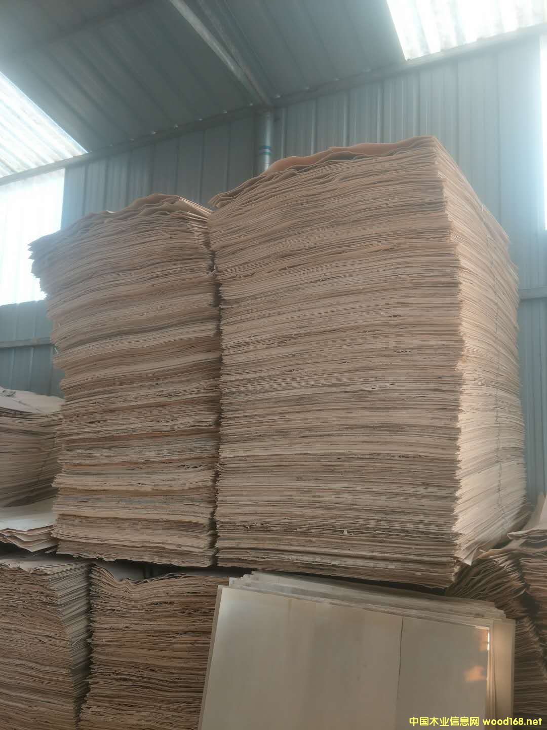 精三無的詳細(xì)介紹