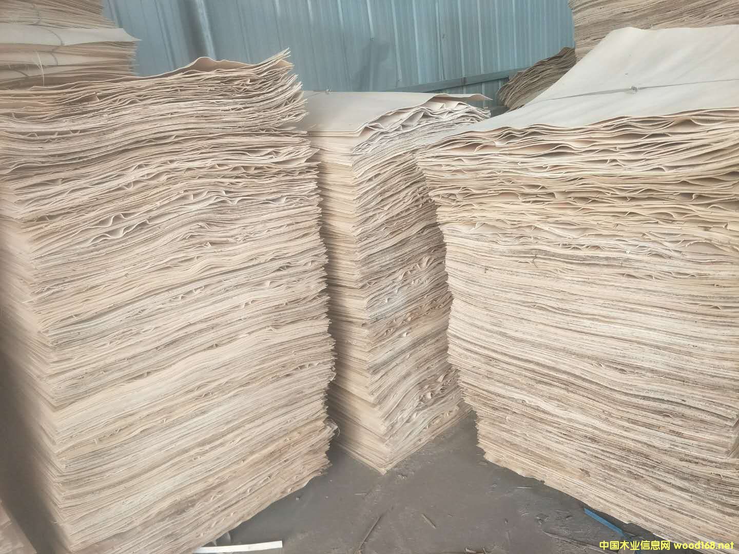 精三無的詳細(xì)介紹