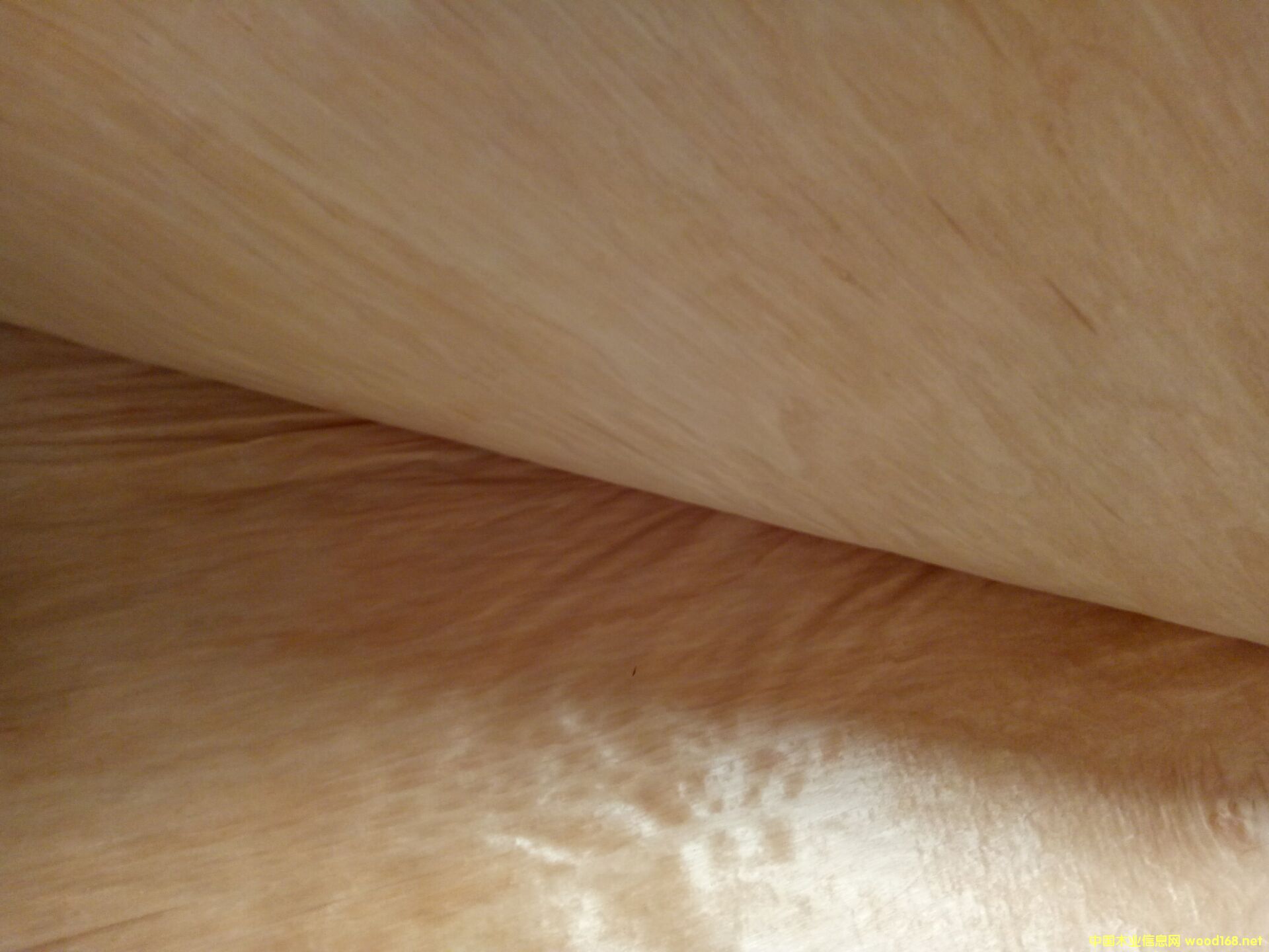 �sľ��Ƥ��Ԕ��(x��)��B