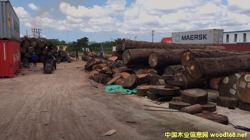 的詳細(xì)介紹