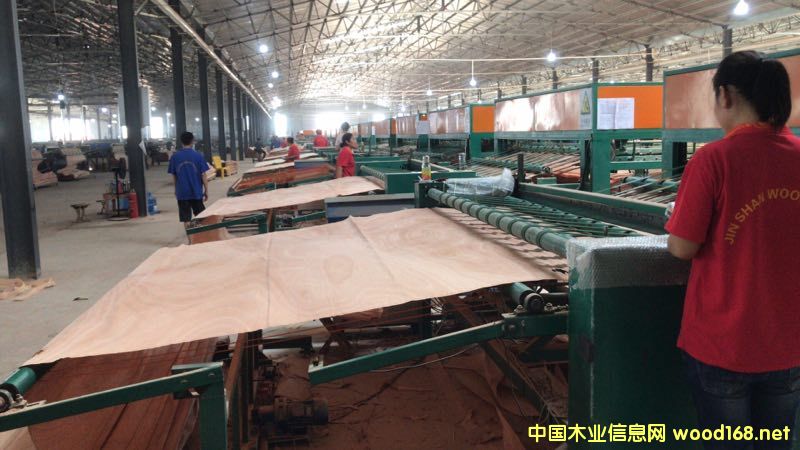 的詳細(xì)介紹