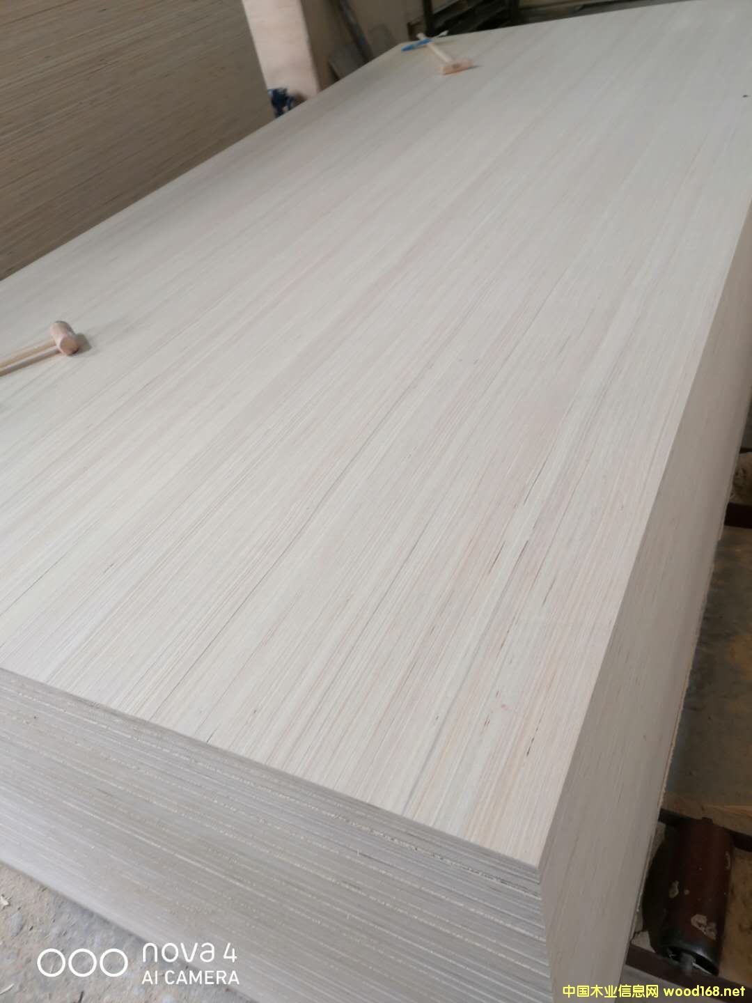  ��Ԕ��(x��)��B