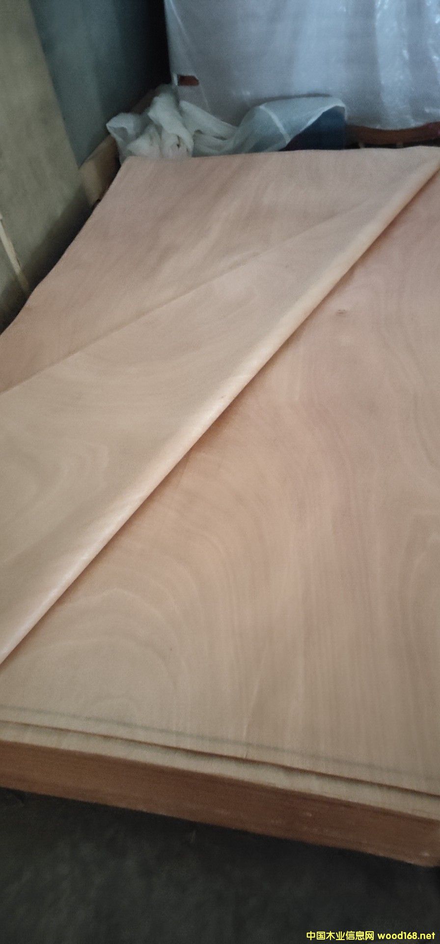 �W�����һ�о