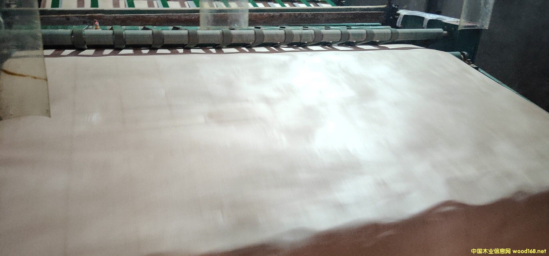 奧古曼桃花芯 奧古曼桃花芯