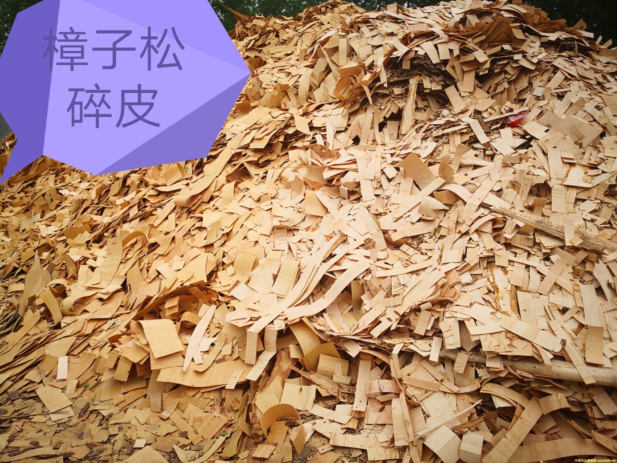 [��] ��������Ƥ